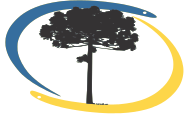logo-PythonSul